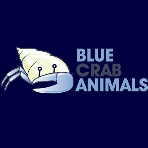 Blue Crab Animals