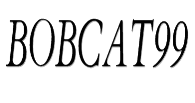 Bobcat99