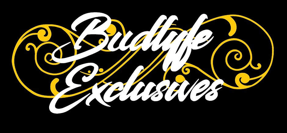 Budlyfe Exclusives, LLC - Lit4Lifeevents