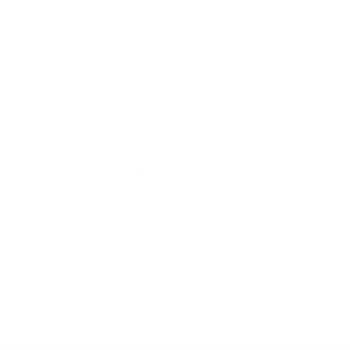 San Antonio Cat Cafe